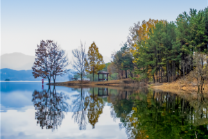 [집중모객]충청도 대전 당일여행 ＜지자제지원특가/장태산휴양림＞