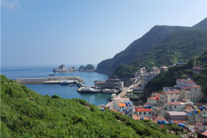 [SRT/목포항] 홍도 흑산도 2일 ＜쾌속선/모텔급/홍도유람선＞