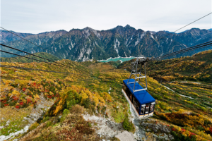 [출발확정][가을에는알펜루트]나고야/후쿠이/알펜루트/신호타카 4일(팁포함/월드체인호텔/특식포함/로프웨이탑승)